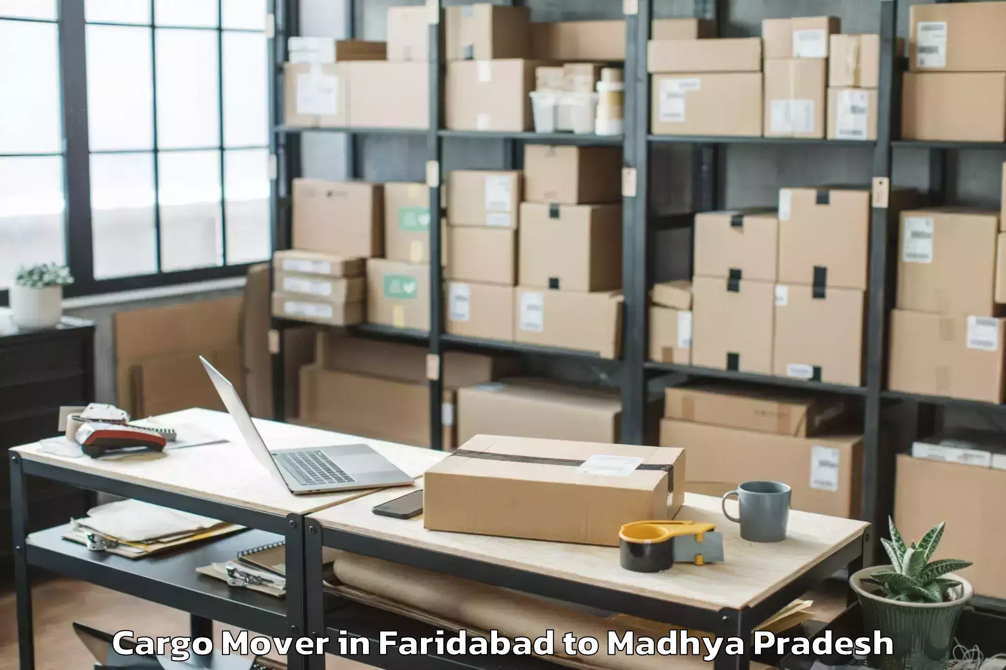 Easy Faridabad to Khilchipur Cargo Mover Booking